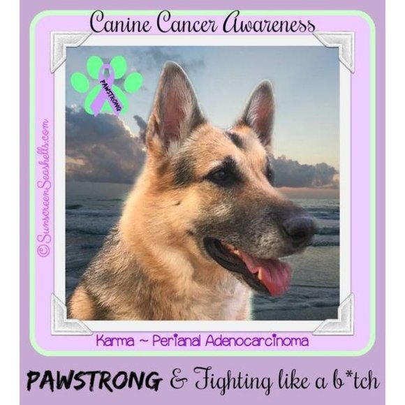 Buckledown Black and Pink One of Us is a B*tch Collar and Leash Set - Picture 6 of 6